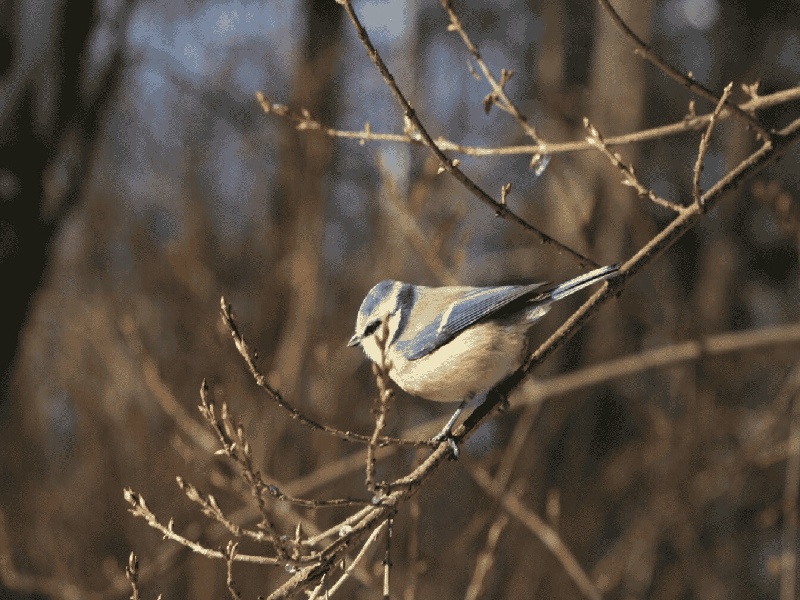宝宝试管取精宝马喷油嘴 试管做第三代试管婴儿费用