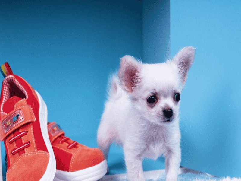 当老师做试管弓形子宫试管多胎ricsi是几代试管